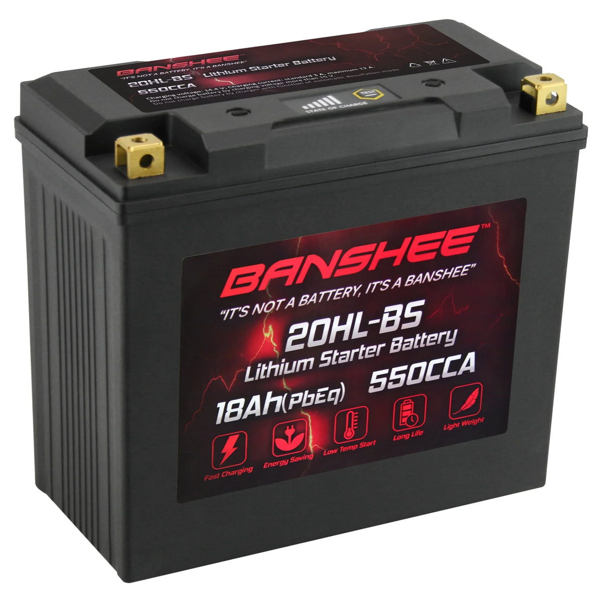 Banshee 20L- LiFePO4 Motorsports Battery Compatible with Sea-Doo  Limited iS 260 2016 to 2016