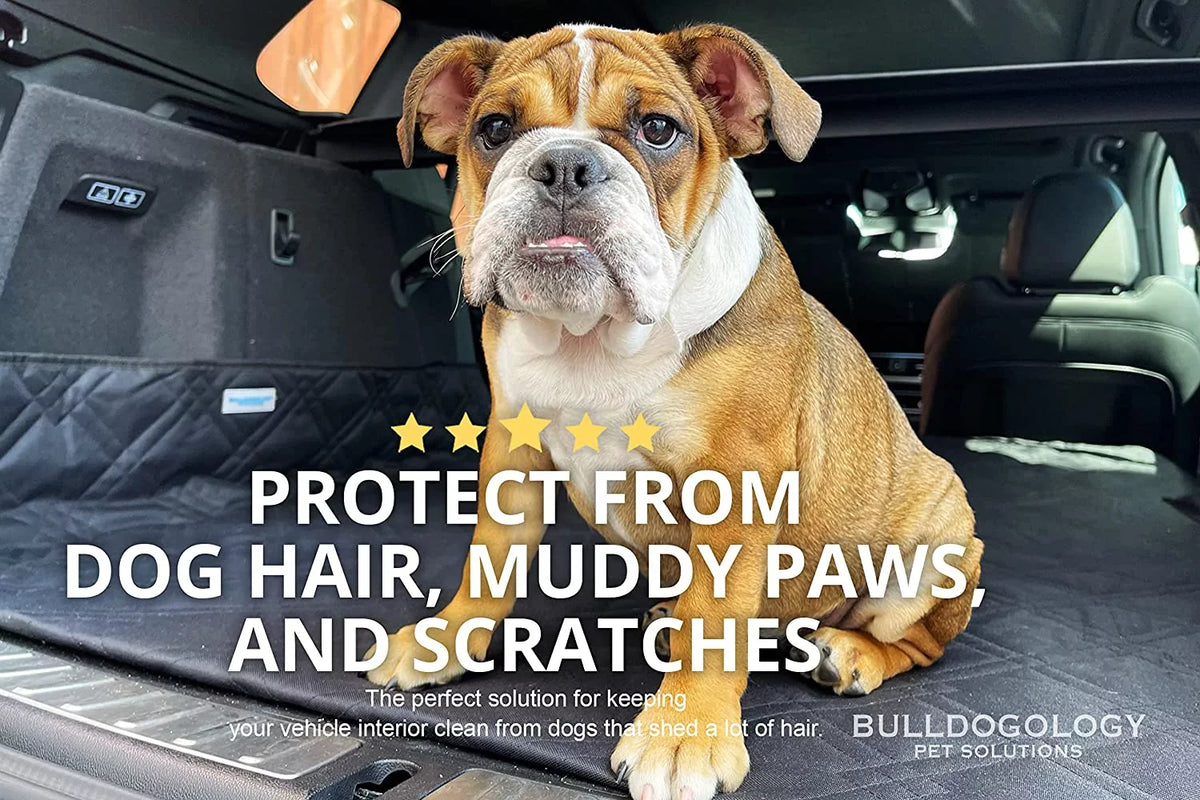 Bulldogology  Cargo Liner for Dogs - Heavy Duty Pet Trunk Cargo Cover - Dog Car Seat Cover Waterproof Nonslip - Dog Hair, Muddy Paws, Scratches Cover Protector for Cars Vans SUVs (-Large, Grey)