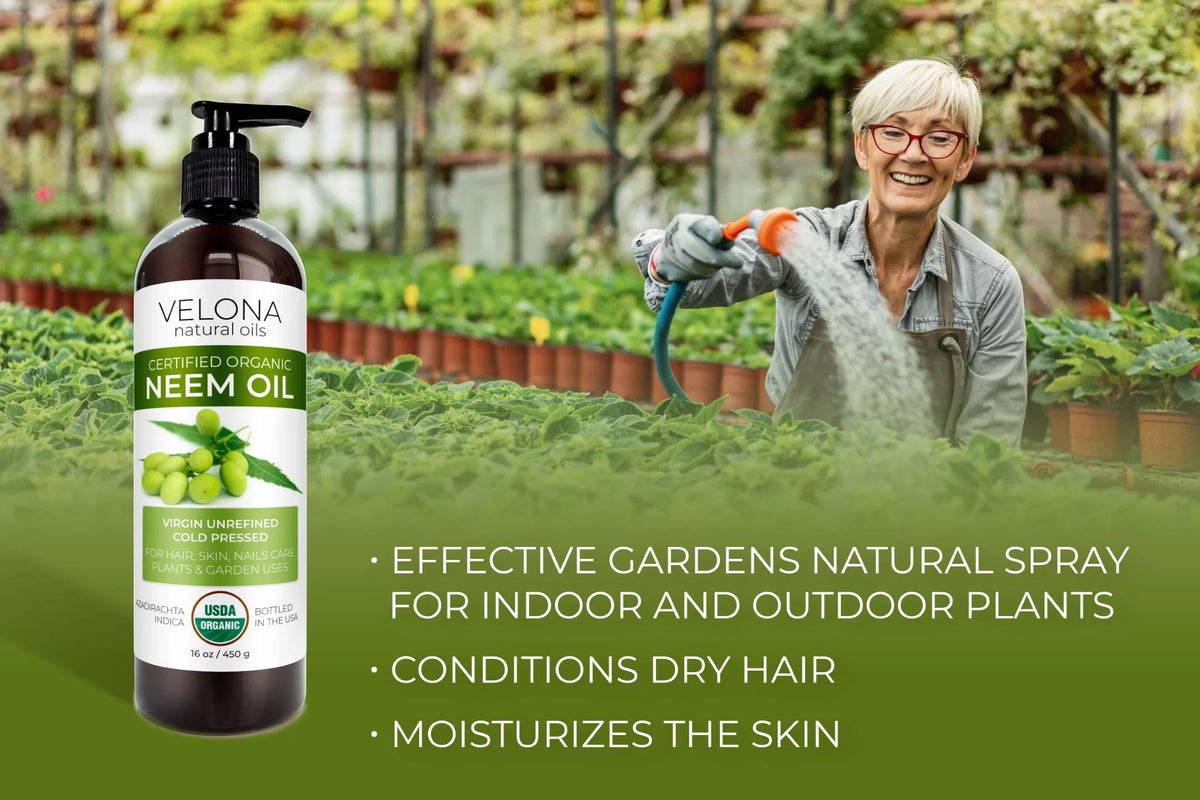 Velona Neem Oil  Certified Organic - 24 oz | 100% Pure and Natural Carrier Oil | Virgin, Unrefined, Cold Pressed | Hair, Body and Skin Care | Use Today - Enjoy Results
