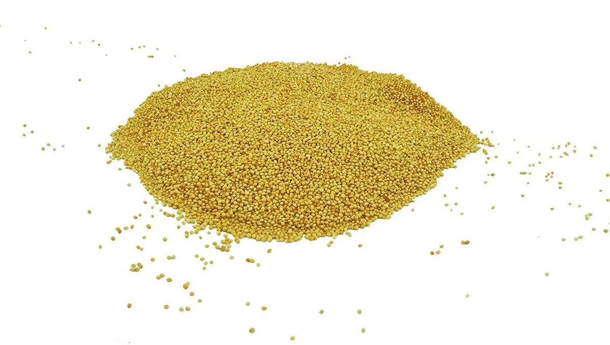 100% Whole Grain Organic Amaranth Seeds (5LB)