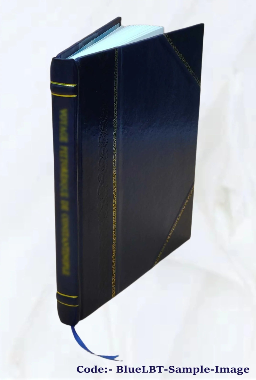 Pigeon River County state forest, potential hydrocarbon development : environmental impact statement. Volume  1975 [Leather Bound]