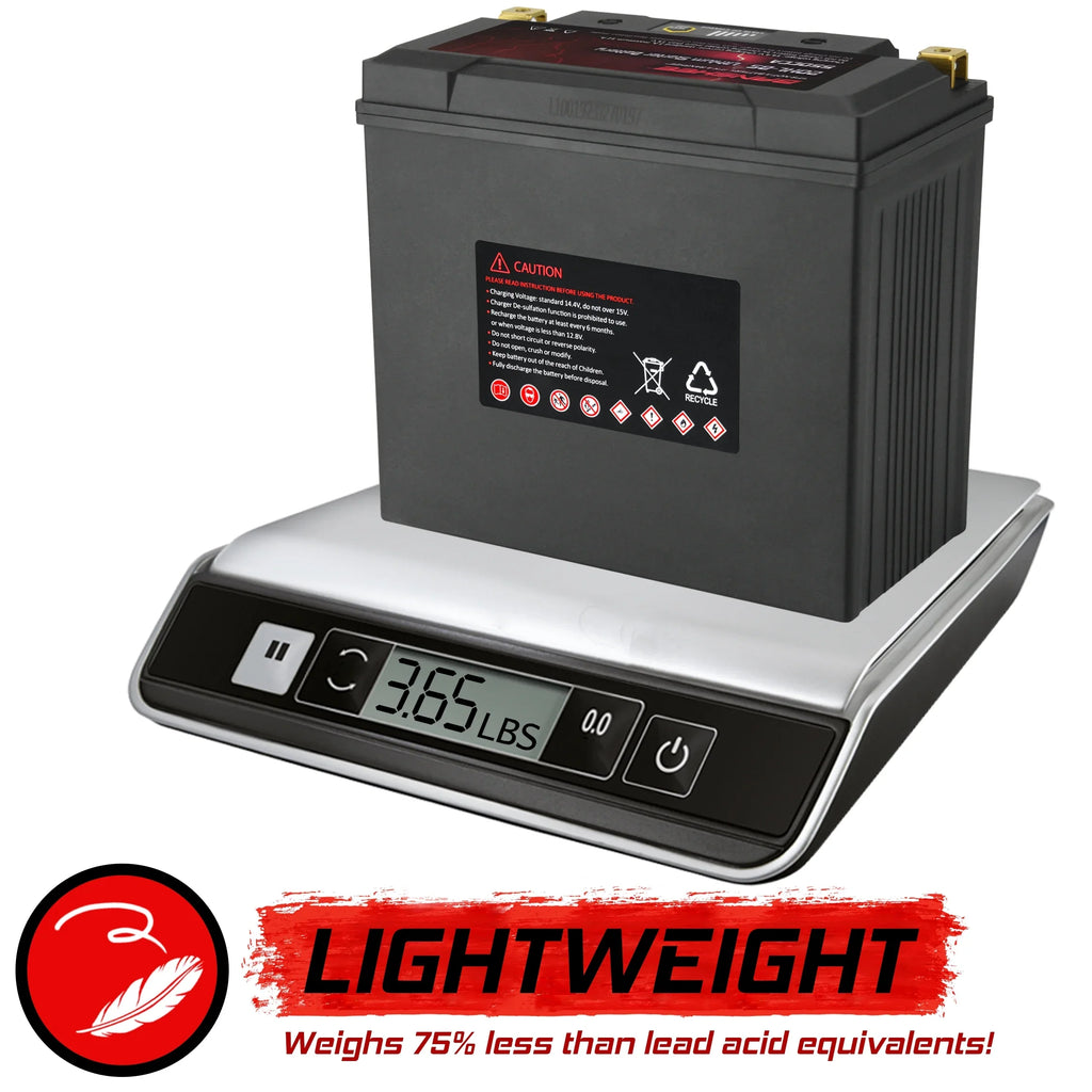 Banshee 20L- LiFePO4 Motorsports Battery Compatible with Sea-Doo  Limited iS 260 2016 to 2016