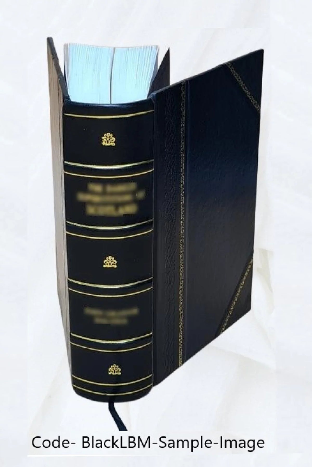 biographical and critical dictionary of painters, engravers, sculptors, and architects, from ancient to modern times; with the monograms, ciphers, and marks used by distinguished