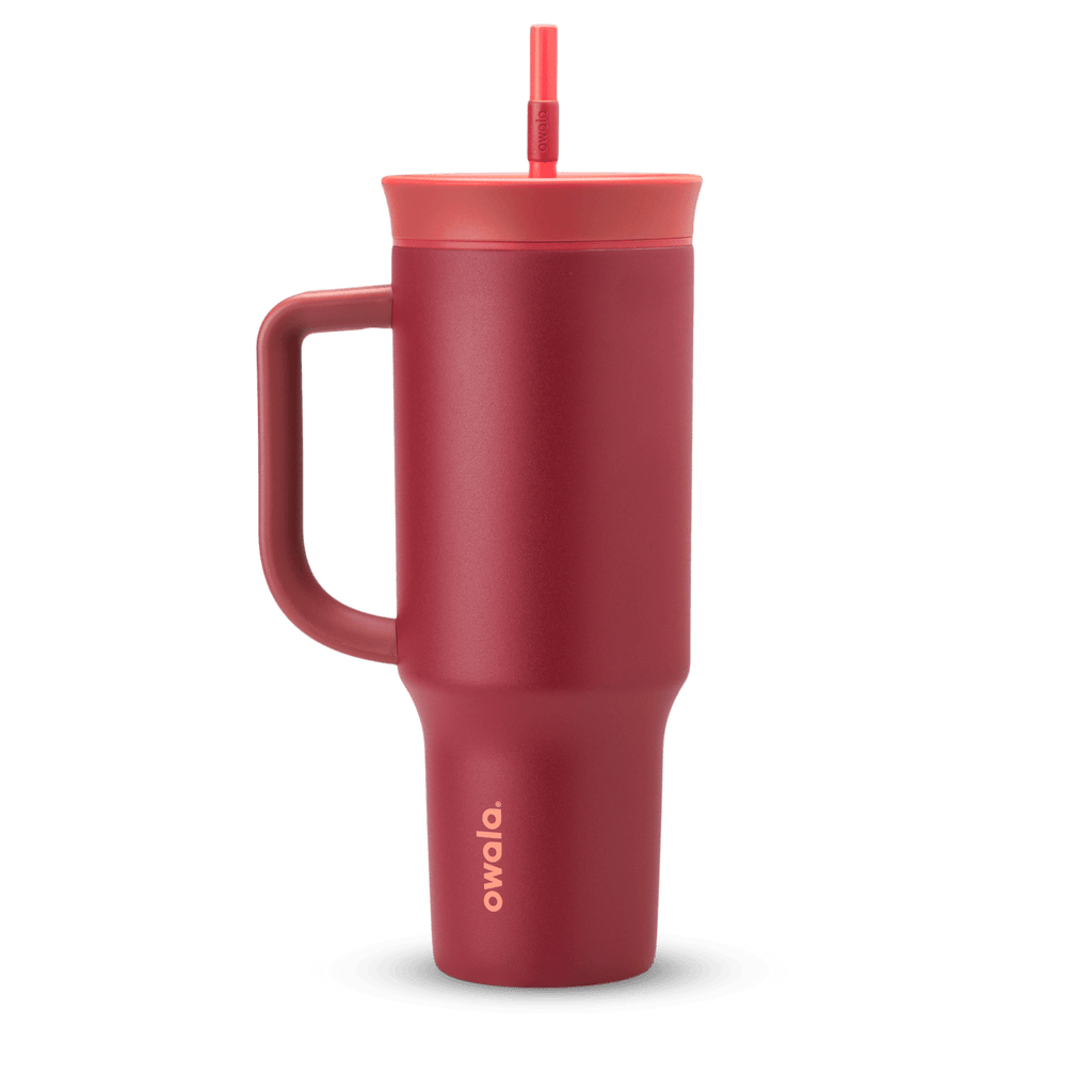 2-in-1 Bottle Brush
